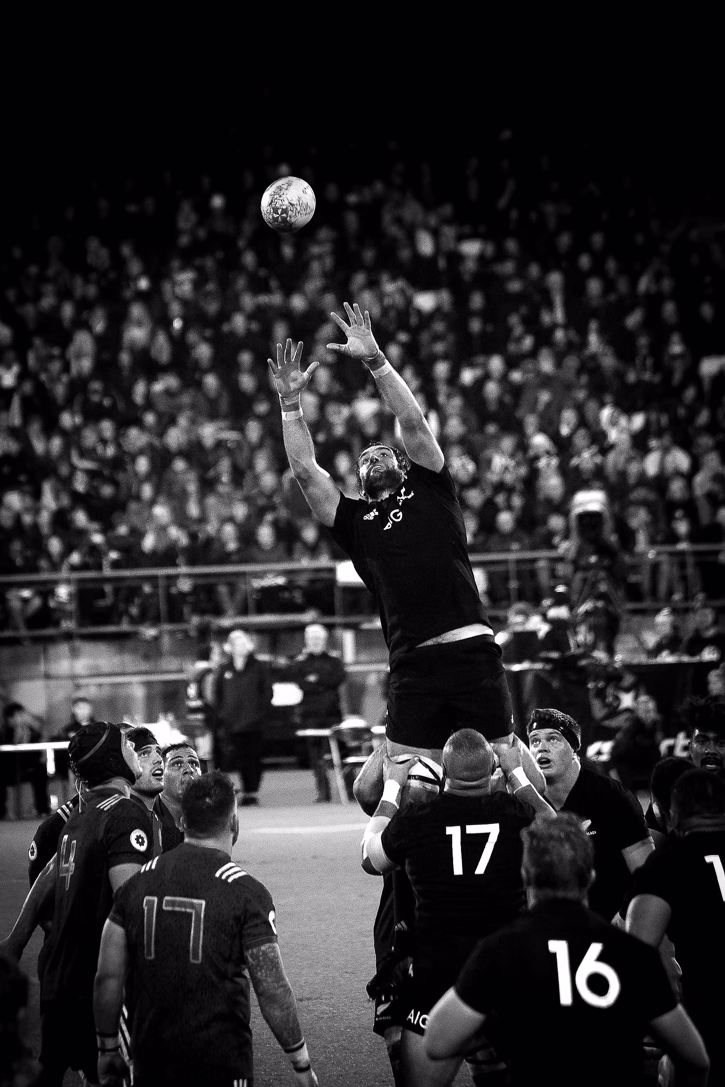GrowthConsulting AllBlacksRugby