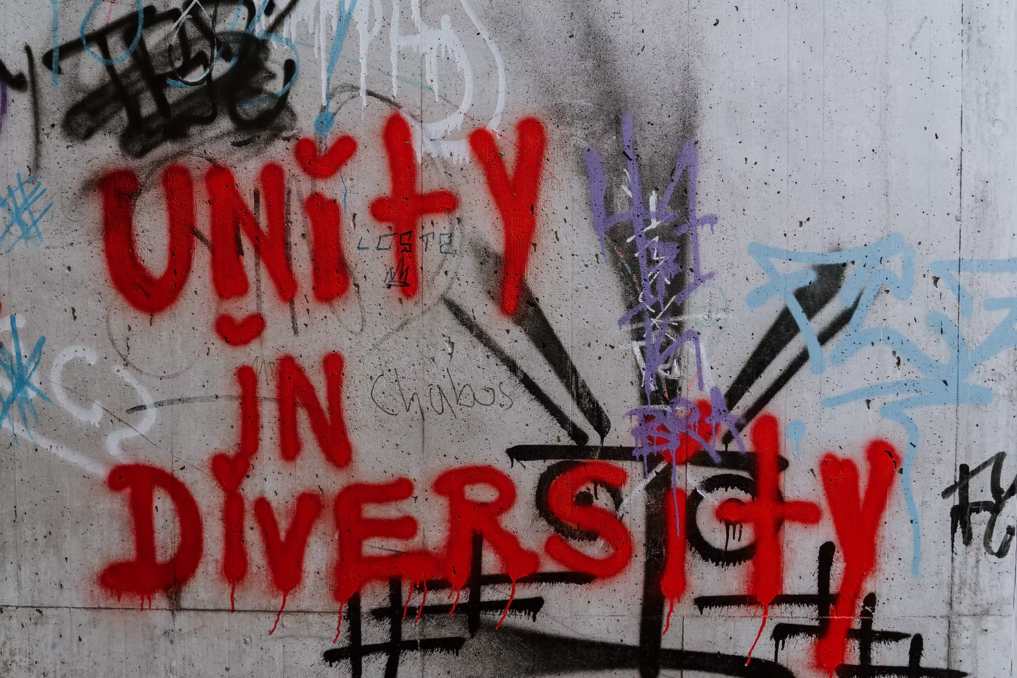 GrowthConsulting Unity in Diversity
